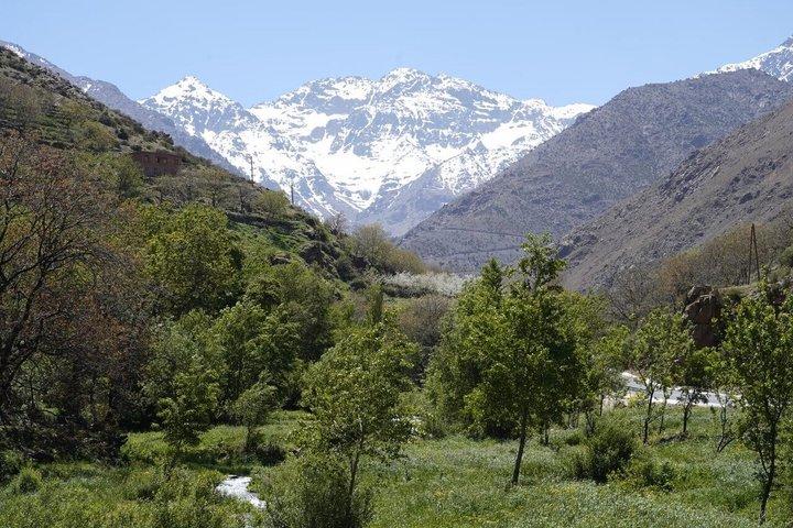 Marrakech: Atlas Mountains, Imlil Valley & Waterfalls Tour
