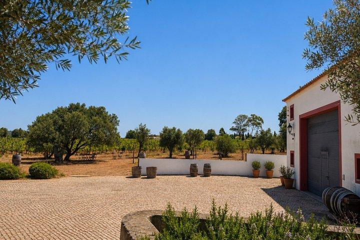 Lagos Wine Tasting at Local Winery