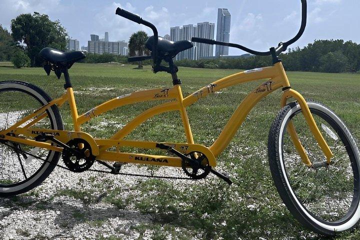 オレタ川州立公園タンデムバイククルーザーレンタル