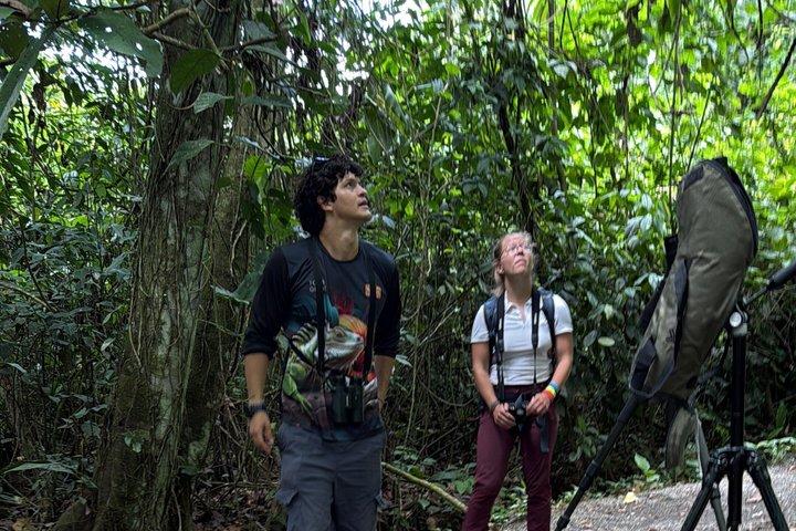 Sloth and Nature Walk : Bogarin Sloth Trail