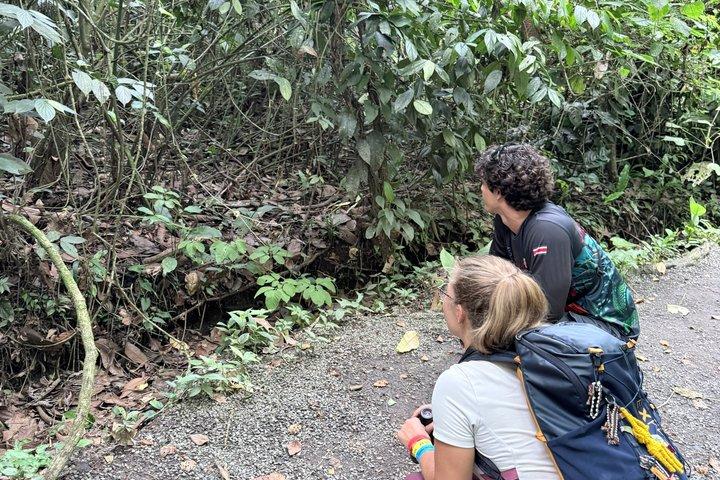 Sloth and Nature Walk : Bogarin Sloth Trail