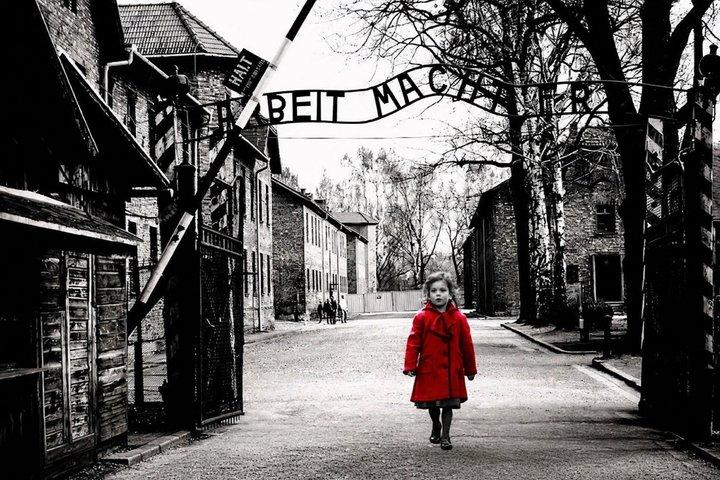 Visita guiada de Auschwitz Birkenau com Ticket Hotel Pickup Minivan
