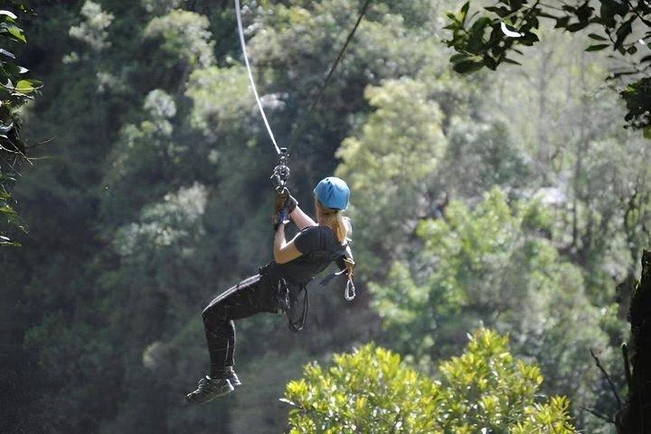 Zipline mellem floder og skove
