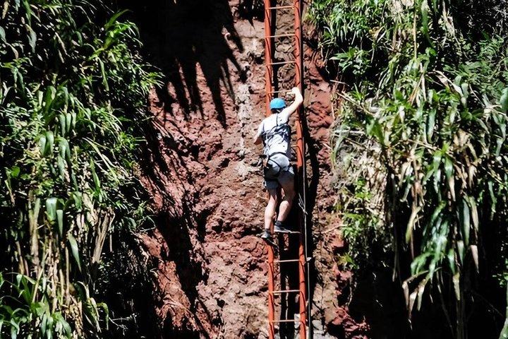 Zipline mellem floder og skove
