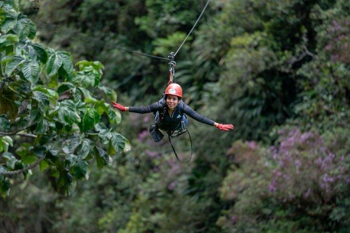 Zipline mellem floder og skove