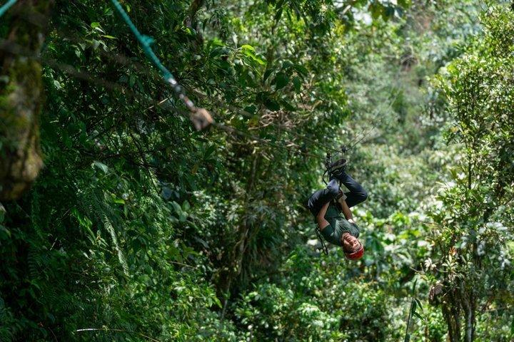 Zipline mellem floder og skove