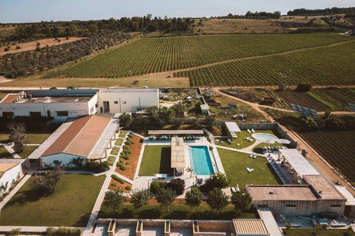Olive Oil Tour and Tasting Experience in Salento