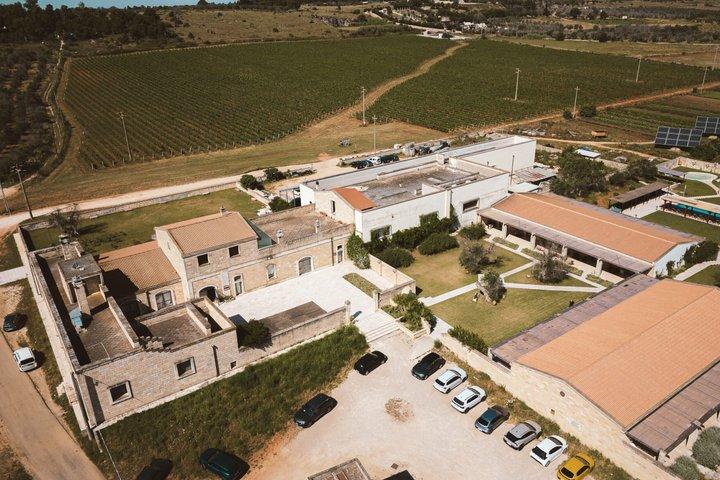 Olive Oil Tour and Tasting Experience in Salento