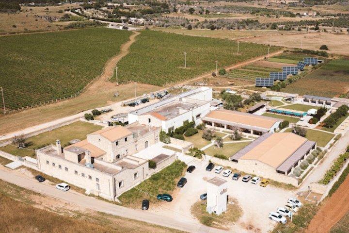Olive Oil Tour and Tasting Experience in Salento