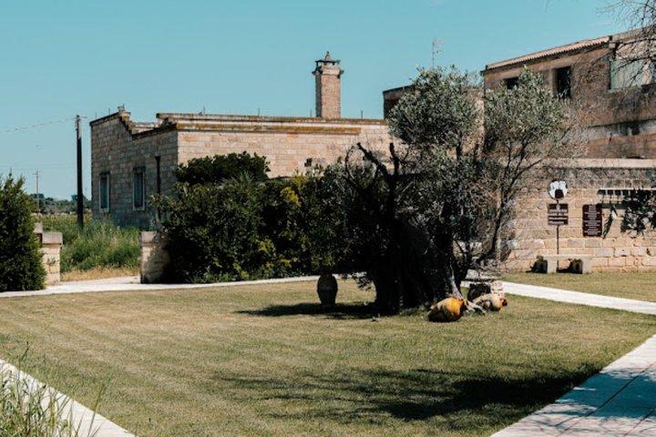 Olive Oil Tour and Tasting Experience in Salento