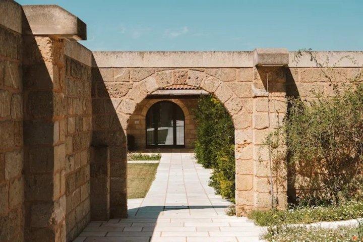 Olive Oil Tour and Tasting Experience in Salento