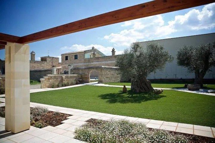 Olive Oil Tour and Tasting Experience in Salento