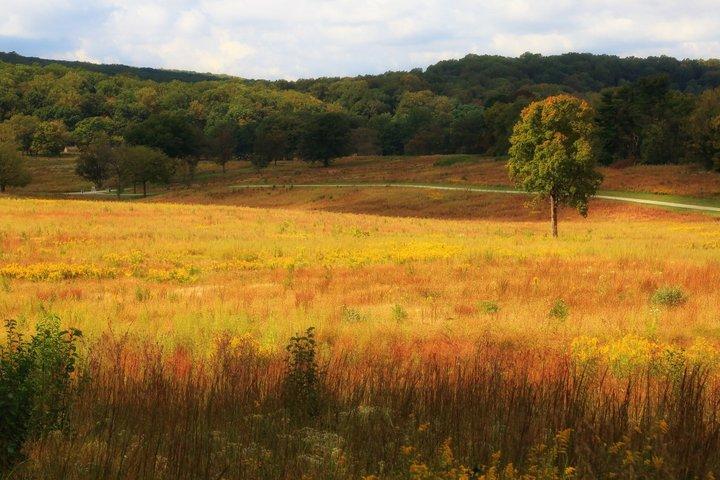 Valley Forge Self-Guided Outdoor Mystery Game