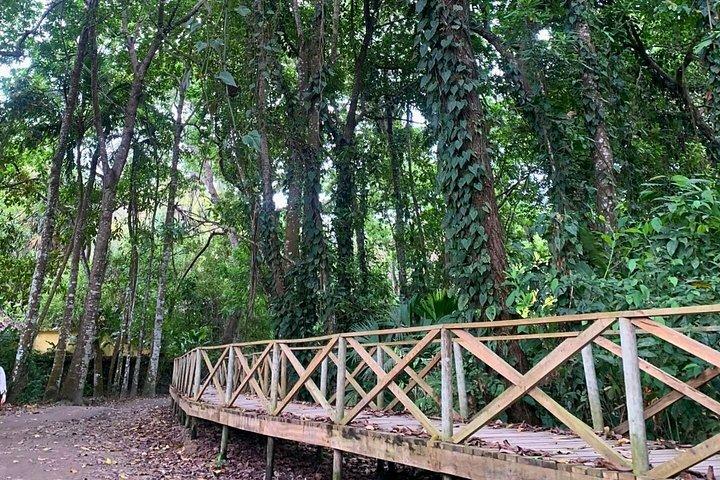 タイロナ国立公園：サンタ マルタからカボ サン フアンへのハイキング