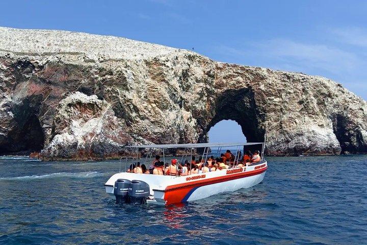 リマ発、バジェスタス諸島とワカチナへの日帰り旅行