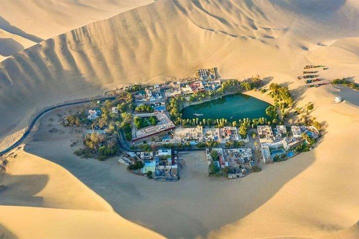 リマ発、バジェスタス諸島とワカチナへの日帰り旅行