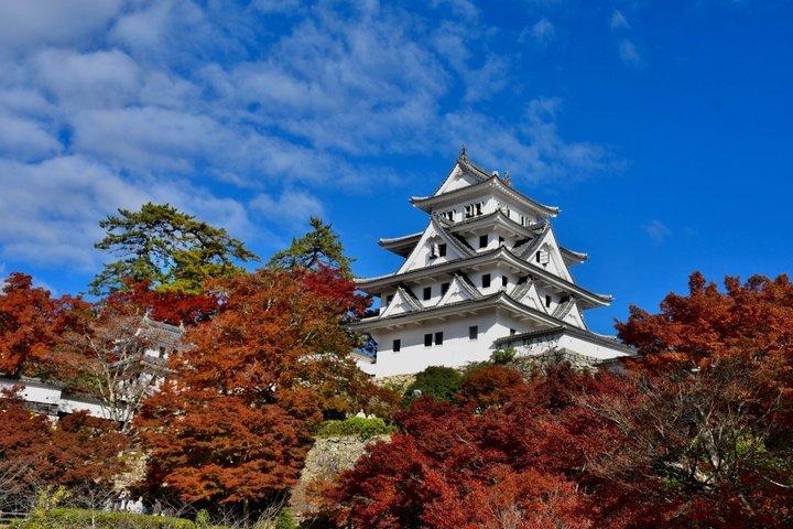 Fairytale Japan : 名古屋発白川郷・高山日帰りツアー
