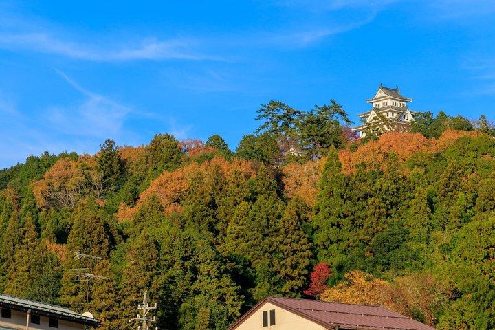 Fairytale Japan : 名古屋発白川郷・高山日帰りツアー
