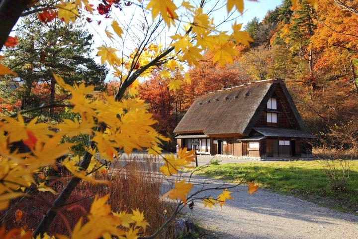 Fairytale Japan : 名古屋発白川郷・高山日帰りツアー