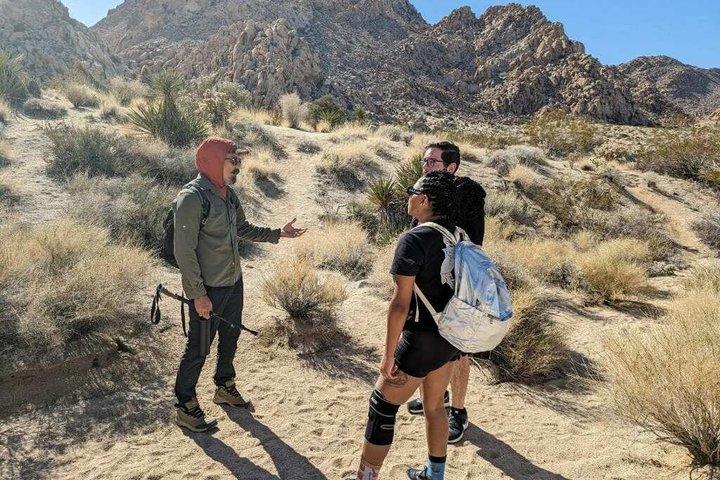 Joshua Tree Experience Morning Nature Walk Immersion
