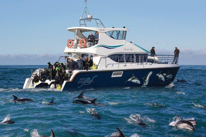 Excursión de 2 días a ballenas y delfines Kaikoura desde Christchurch