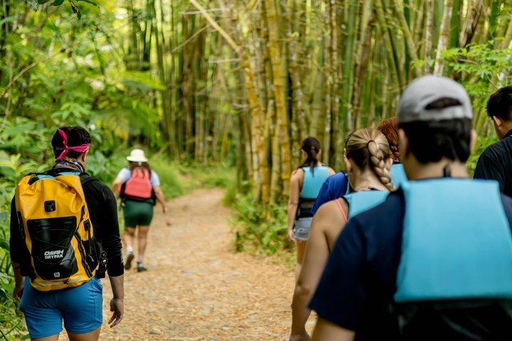 Small-Group El Yunque Rainforest & Transportation Luquillo Beach