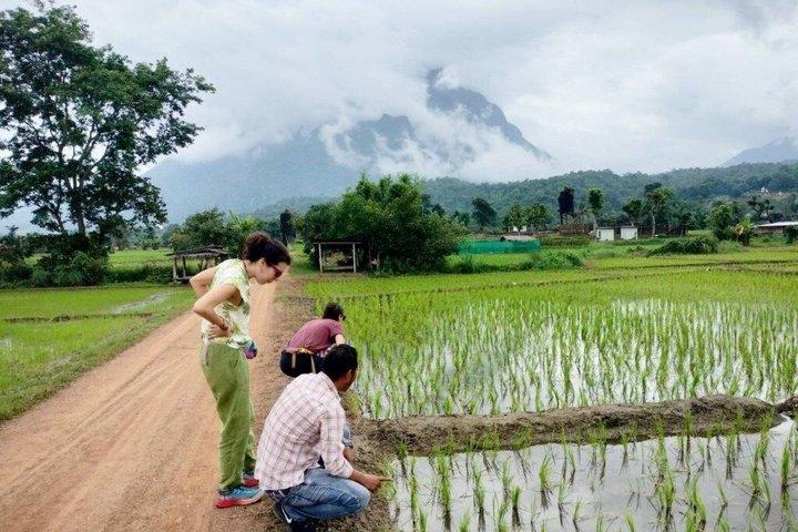 チェンダーオの終日洞窟山からの眺め