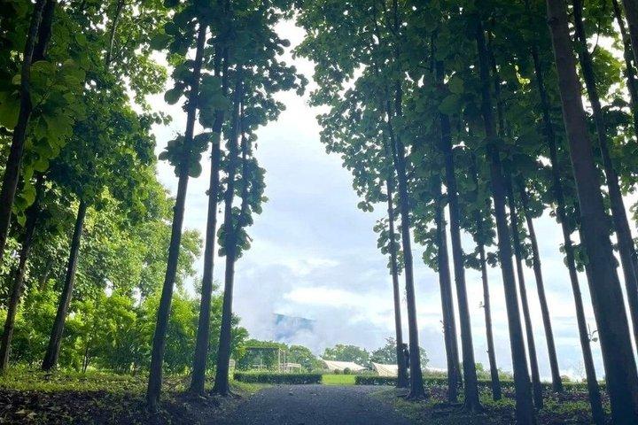 チェンダーオの終日洞窟山からの眺め
