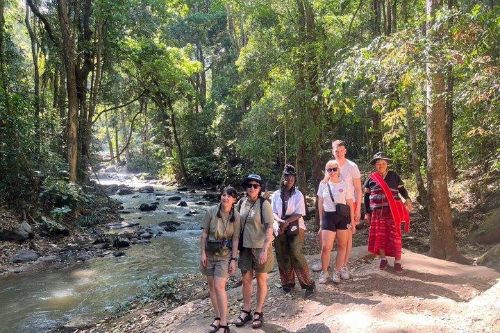 Chiang Mai Ethical Elephant Sanctuary e Pha Dok Siew Trail