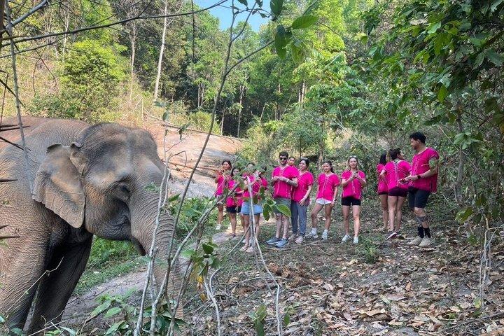 Chiang Mai Ethical Elephant Sanctuary e Pha Dok Siew Trail