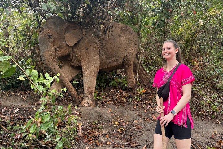 Chiang Mai Ethical Elephant Sanctuary e Pha Dok Siew Trail