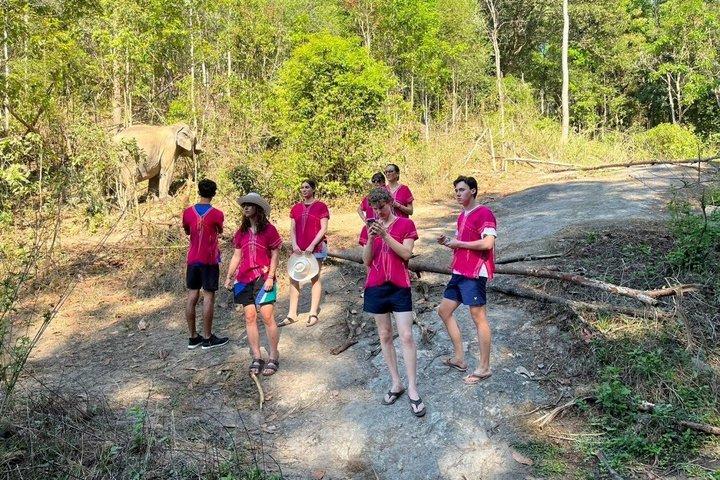 Chiang Mai Ethical Elephant Sanctuary e Pha Dok Siew Trail