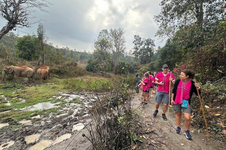 Chiang Mai Ethical Elephant Sanctuary e Pha Dok Siew Trail