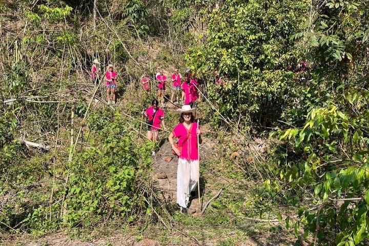 Chiang Mai Ethical Elephant Sanctuary e Pha Dok Siew Trail