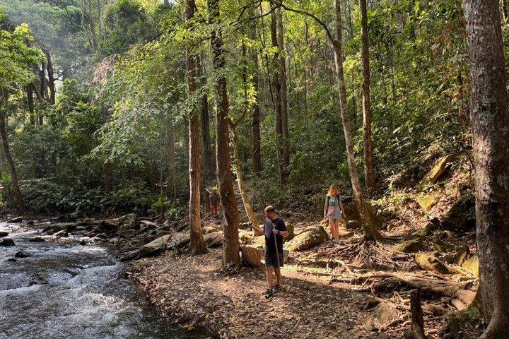Chiang Mai Ethical Elephant Sanctuary e Pha Dok Siew Trail