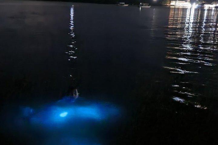 モンテゴ湾発ルミナスラグーンナイトツアー