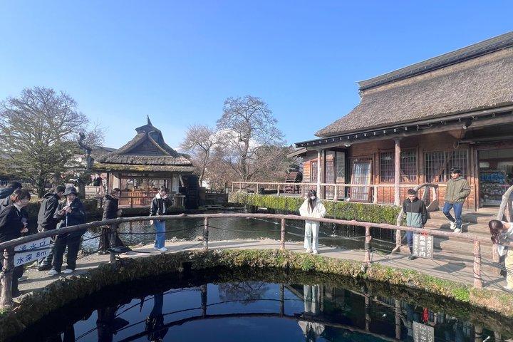 From Tokyo To Mt Fuji & Hakone day customizable tour