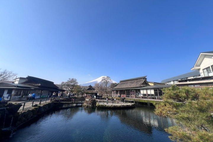 From Tokyo To Mt Fuji & Hakone day customizable tour