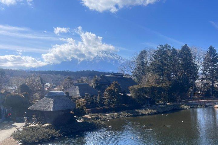 From Tokyo To Mt Fuji & Hakone day customizable tour