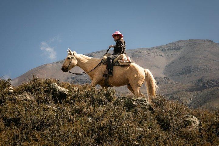 Horseback Riding in the Andes, gaucho experience & BBQ
