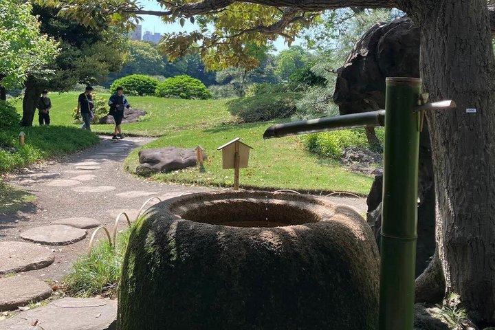 東京珈琲おまかせコース 日本語庭園散策体験