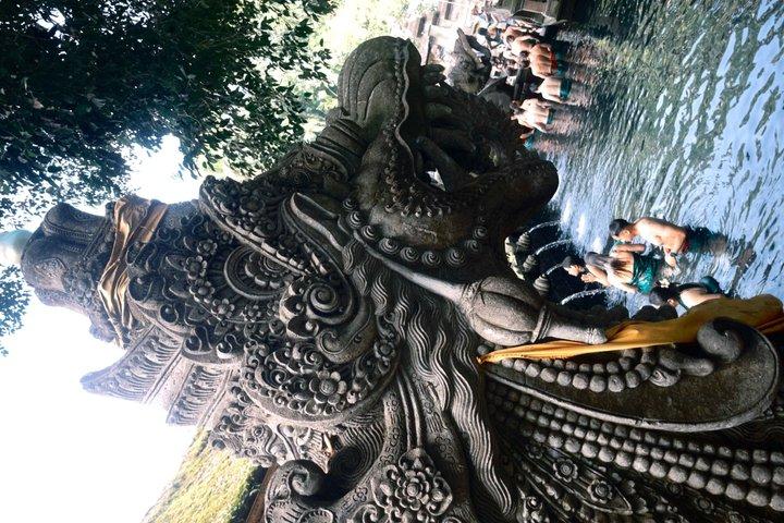 Ubud Sightseeing Tour : Cascata Nascosta, Terrazze di Riso e Tempio