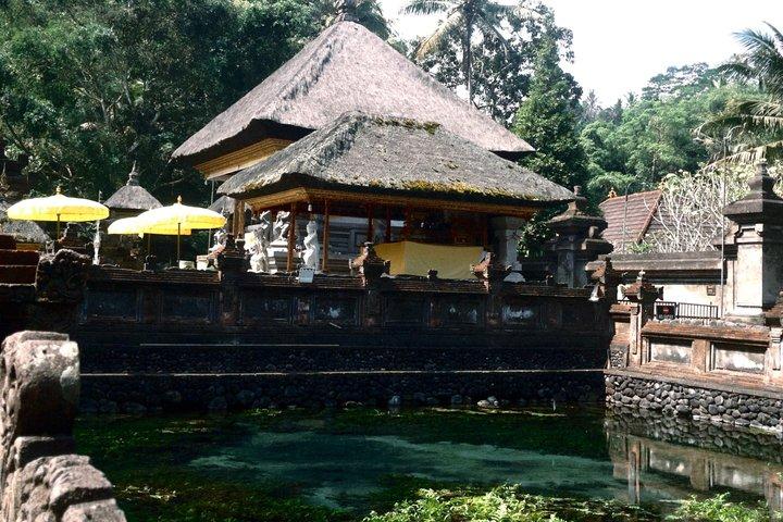 Ubud Sightseeing Tour : Cascata Nascosta, Terrazze di Riso e Tempio