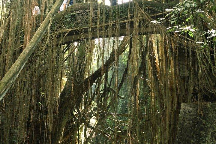 Ubud Sightseeing Tour : Cascata Nascosta, Terrazze di Riso e Tempio