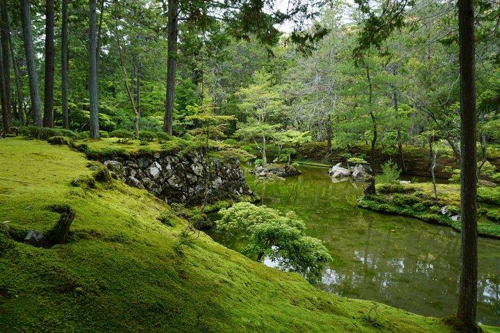 Visite privée personnalisée à Kyoto avec votre propre Guide