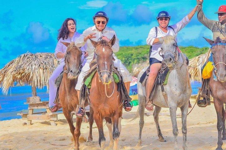 プンタカナのビーチ、野原、森を馬に乗って巡る