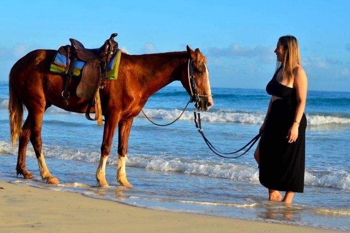プンタカナのビーチ、野原、森を馬に乗って巡る