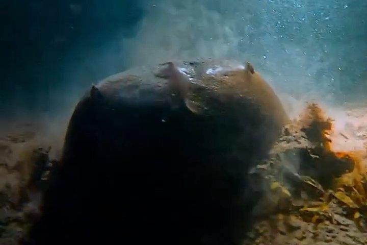 ダークシュノーケルアドベンチャー後