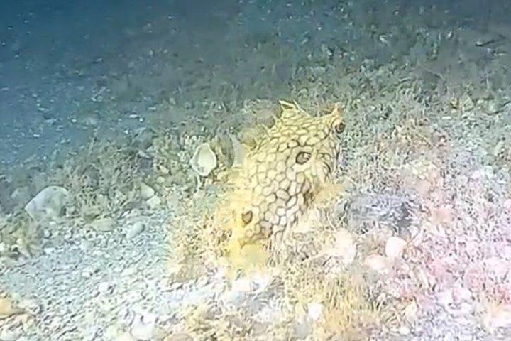 ダークシュノーケルアドベンチャー後