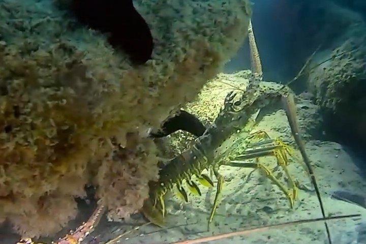 ダークシュノーケルアドベンチャー後